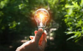 Hand h&auml;lt leuchtende Gl&uuml;hbirne im Wald