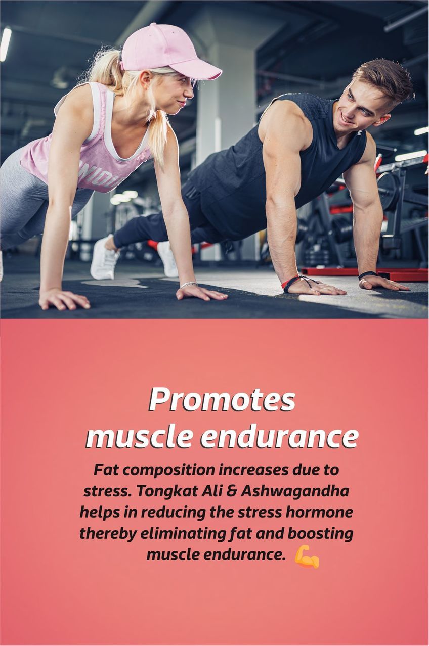 Improves muscle endurance