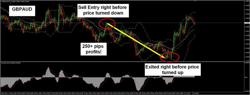 Forex fund managers in singapore