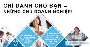 Vietnamese Small Group Ad