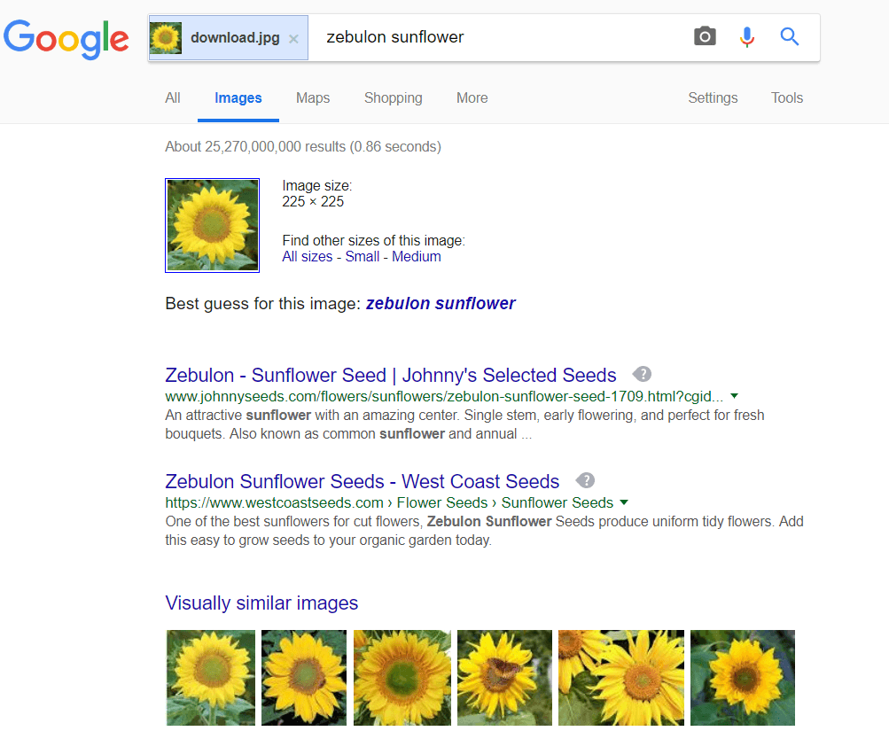 Advanced Image Identification Advanced Image Identification