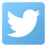 Twitter - icon