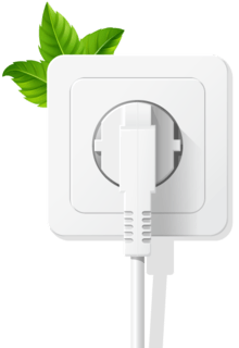 Bl&auml;tter kommen aus wei&szlig;er Steckdose in der Wand