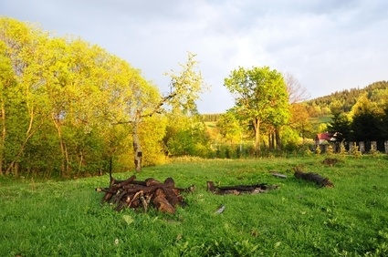Krajobraz g&oacute;rski z przygotowanym ogniskiem.