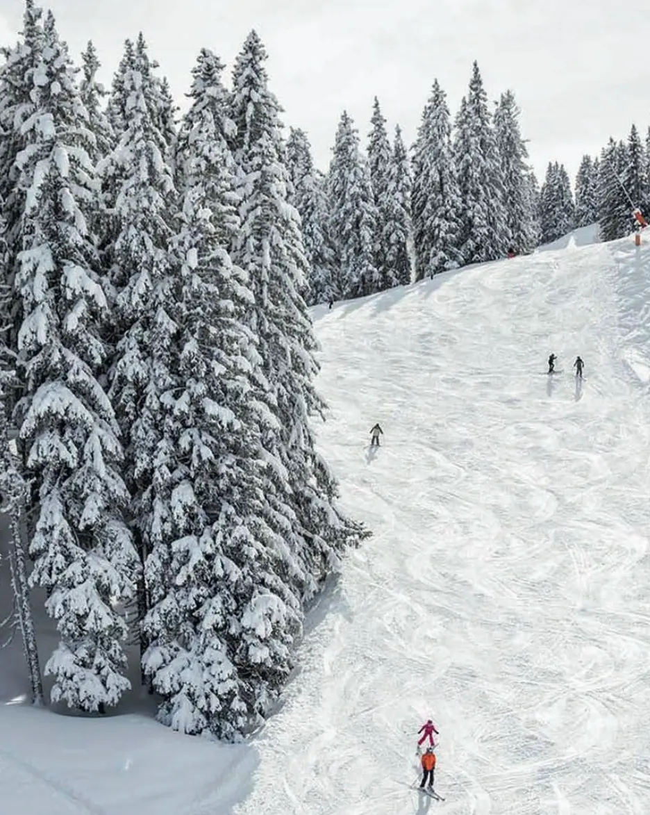 Skier &agrave; Meg&egrave;ve