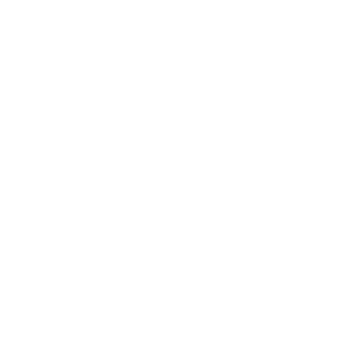 festfyrværkeri festfyrværkeri