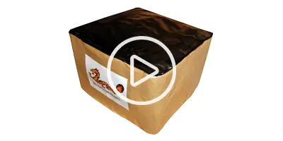 Dragon Fireworks 2076 Batteri