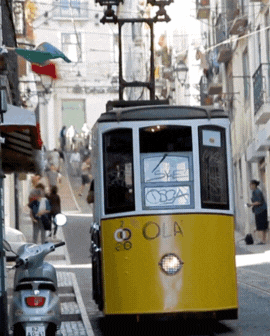 3 slide gif video highlighting Scotland, including a people walking in the historic city streets, and highland cow chewing, and the Scottish countryside with a view of the water.