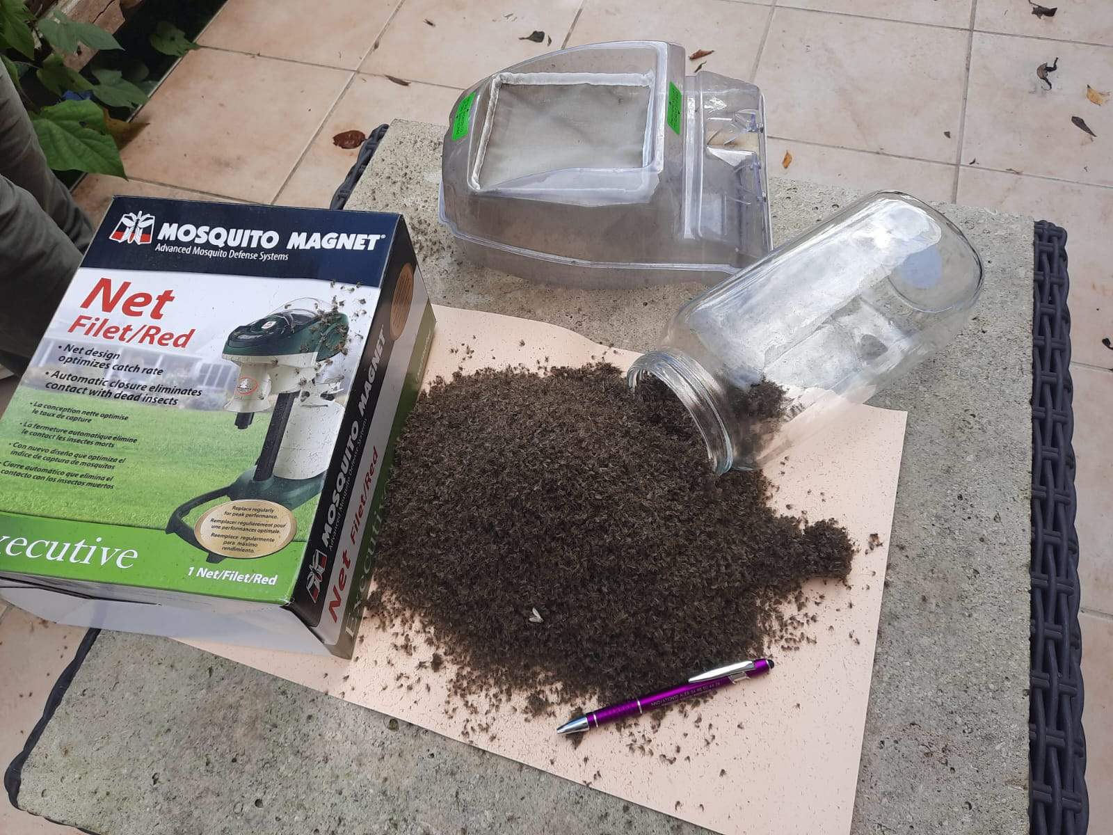 Quantit&eacute; de moustiques captur&eacute;s en moins d'un mois