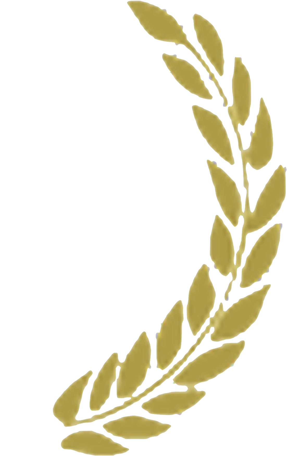 get-rid-of-dirt-other-contaminants