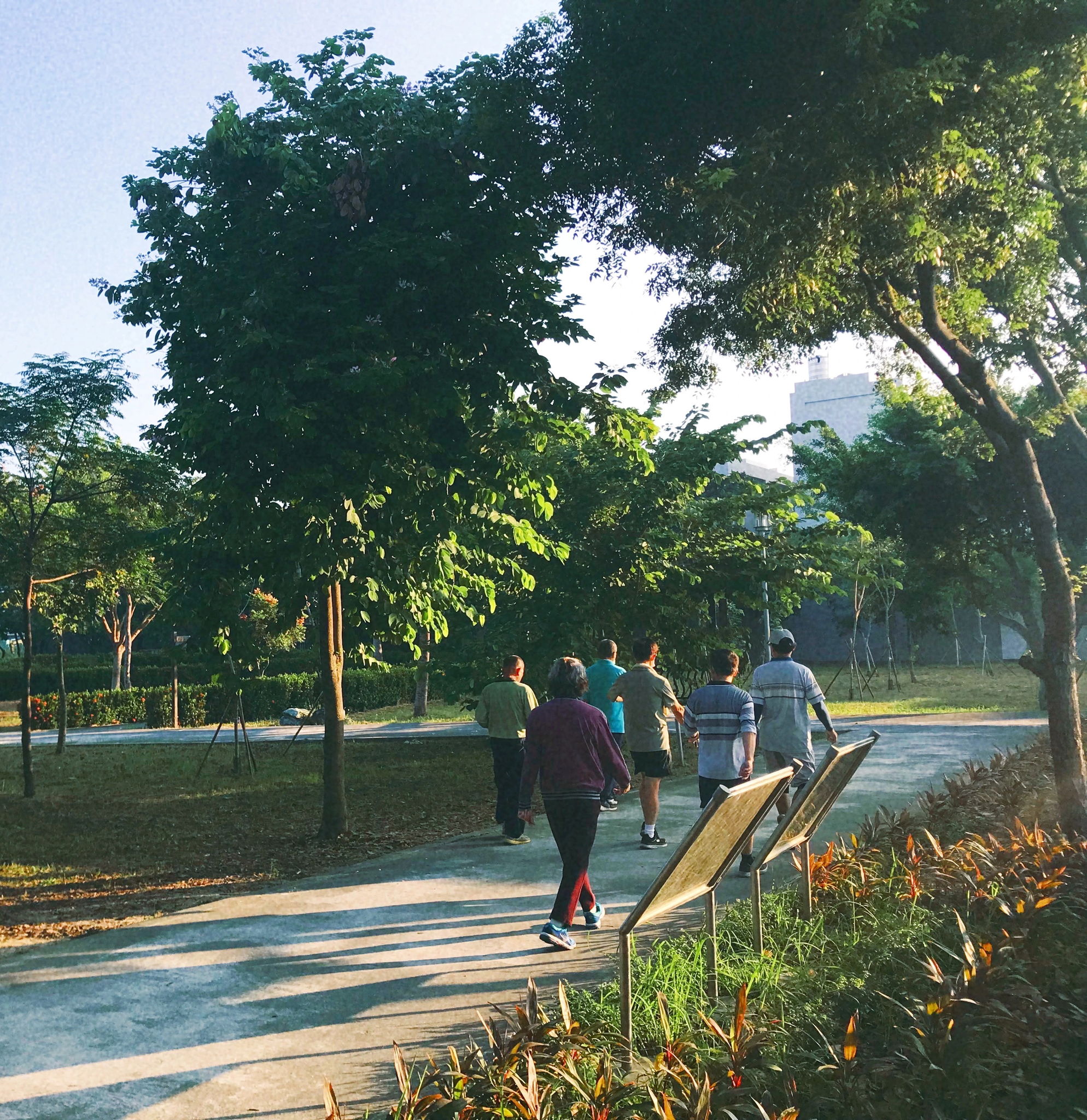 台南民宿、六甲觀田民宿