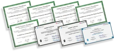 Certificados da Elainne Ourives