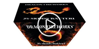 Dragon Fireworks 2085 Batteri