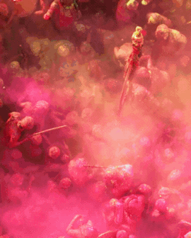 3 slide gif video highlighting Japan, including koi fish, a busy street, and people admiring the cherry blossom trees.