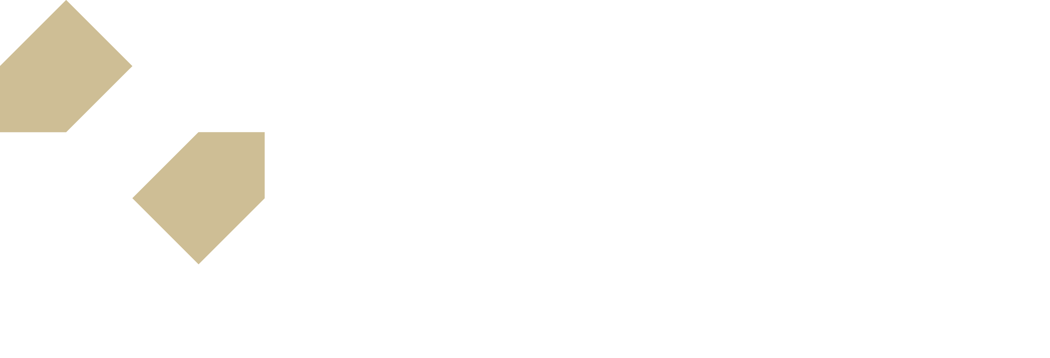 Pivotal Dystrybucja logo