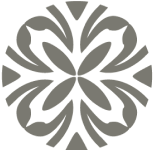 Charlotte Plastic Surgery Logo