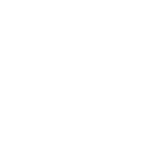 festfyrværkeri festfyrværkeri