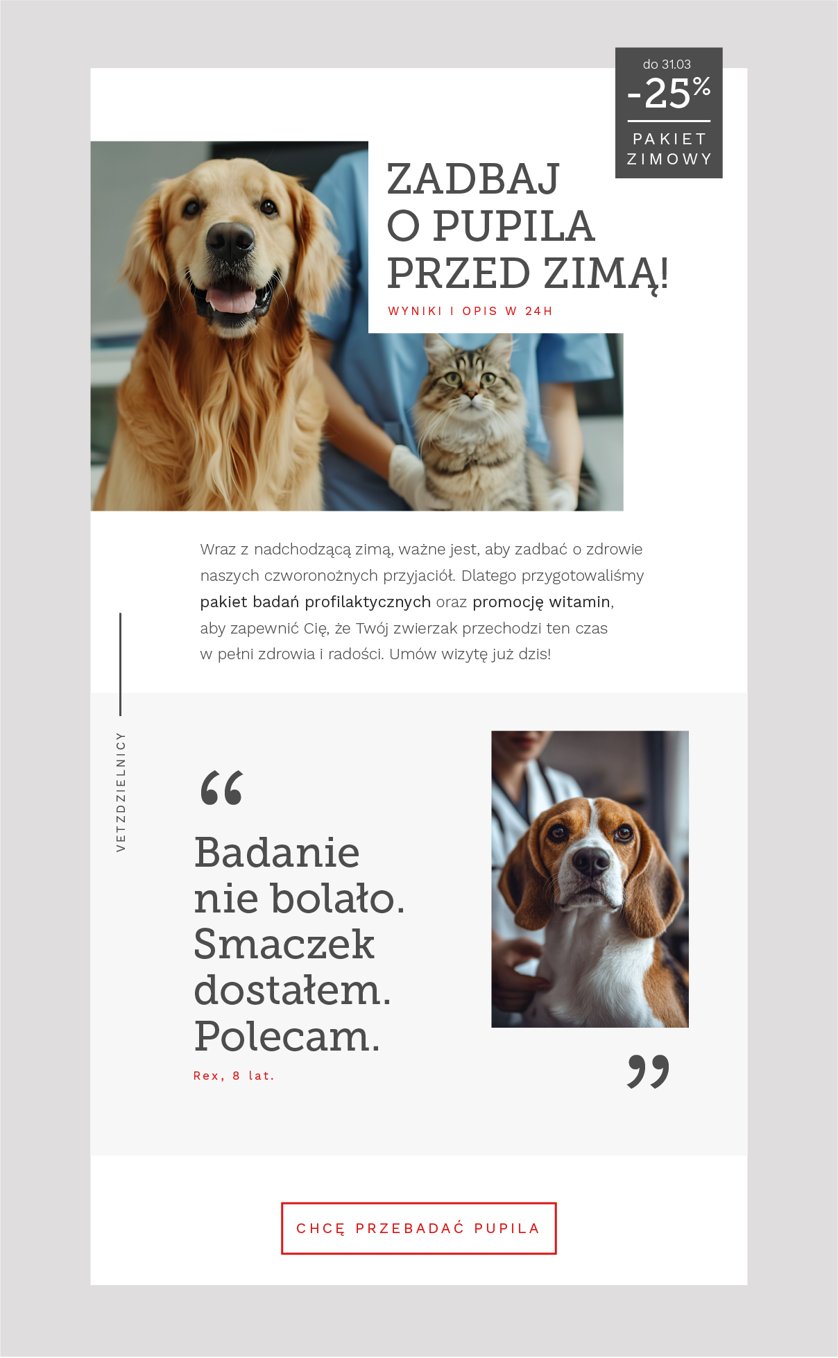 Newsletter VetZdzielnicy