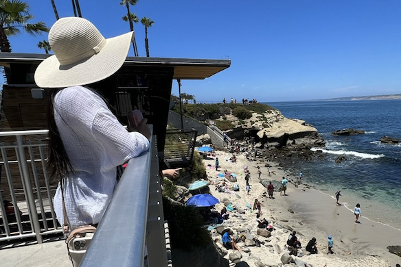 VW bug working from anywhere digital nomad life