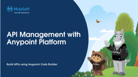 API Management with MuleSoft Series