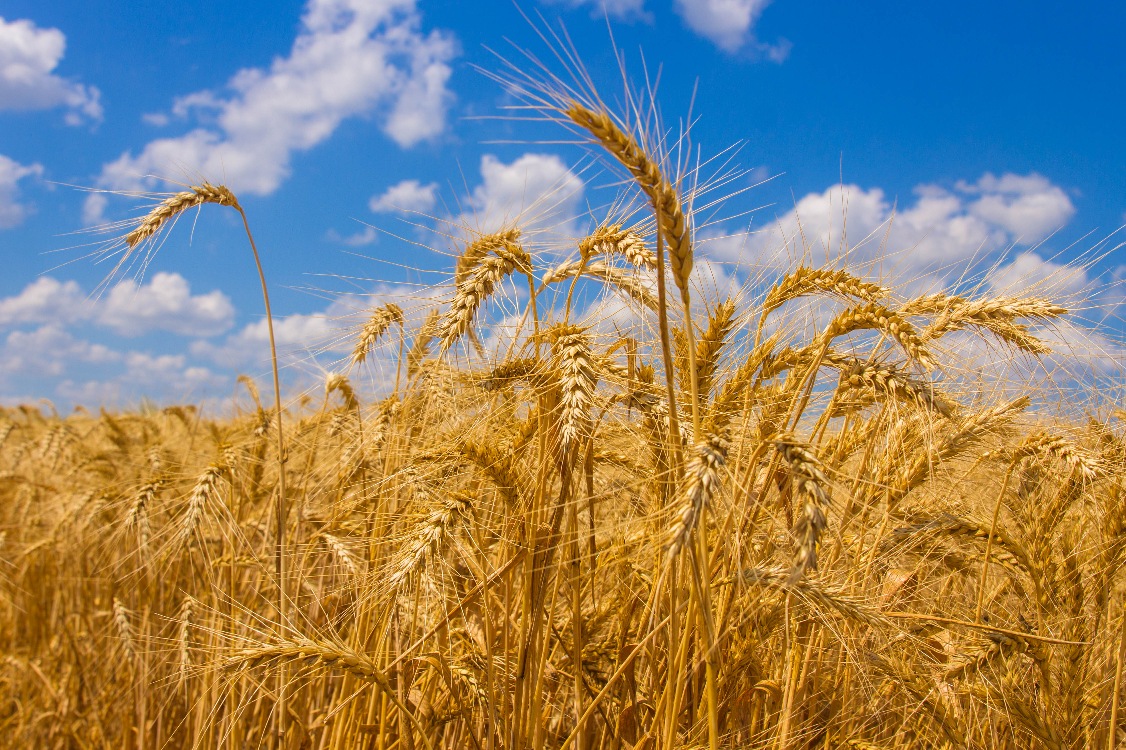 Ukraine Embassy Ukraine Embassy