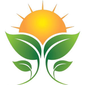 Holistic Awakenings Logo holistic awakenings logo