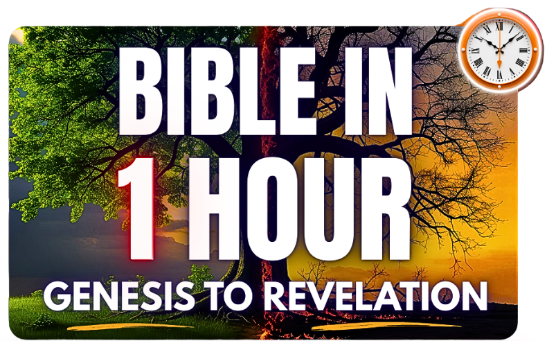 Bible in 1 Hour Seminar Bible in 1 Hour Genesis to Revelation tree graphic