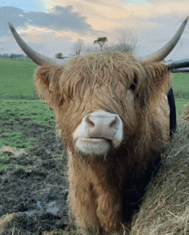 3 slide gif video highlighting England, including Brighton Pier, the Tower of London, and historic buildings along the river.