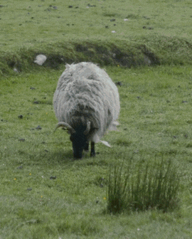 2 slide gif video highlighting Israel, including a hot air balloon and people walking along the beach.