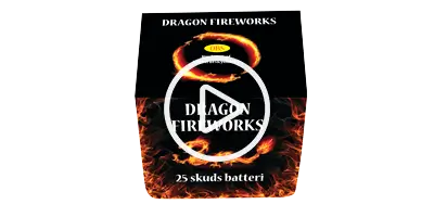 Dragon Fireworks 2055 Batteri