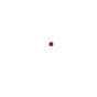 Zoom TV