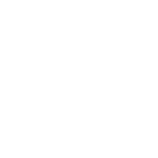 asset protection