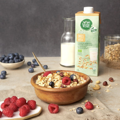 owsianka z malinami i bor&oacute;wkami na tle zielonego kartonu z napojem owsianym GoVege