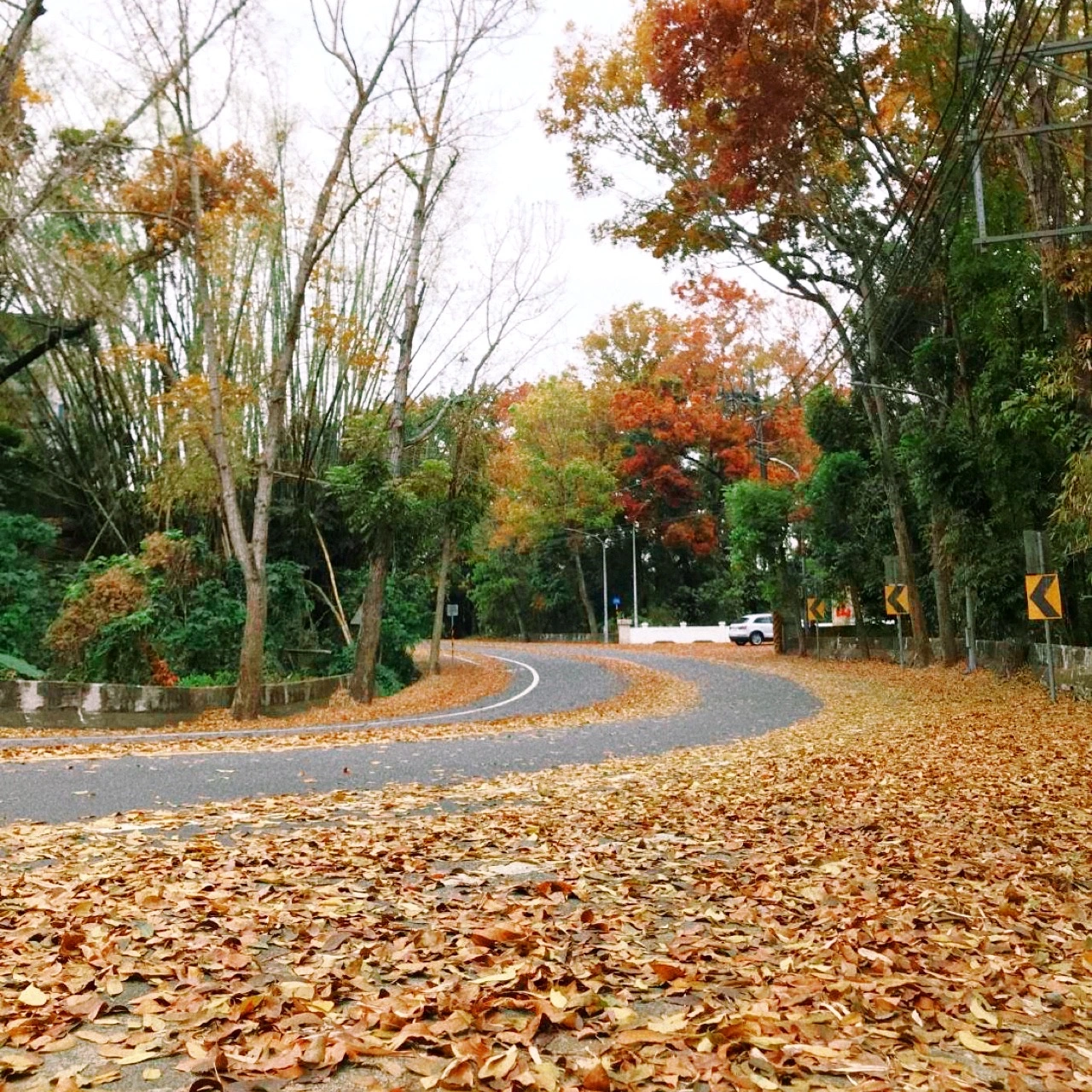 台南民宿、六甲觀田民宿