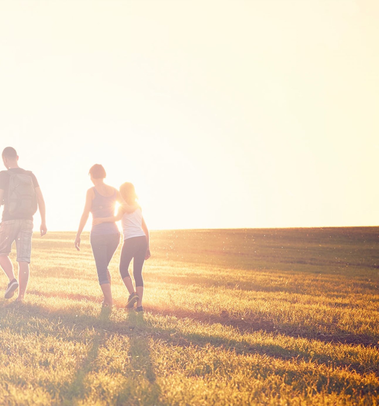 estate planning and Probate Attorney