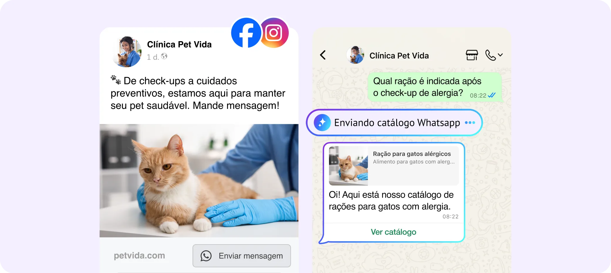WhatsApp Automation