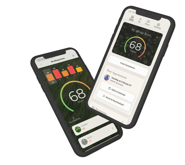 An image of Vessel mockups