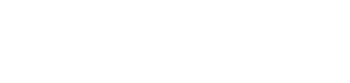 Singer Wealth Logo
