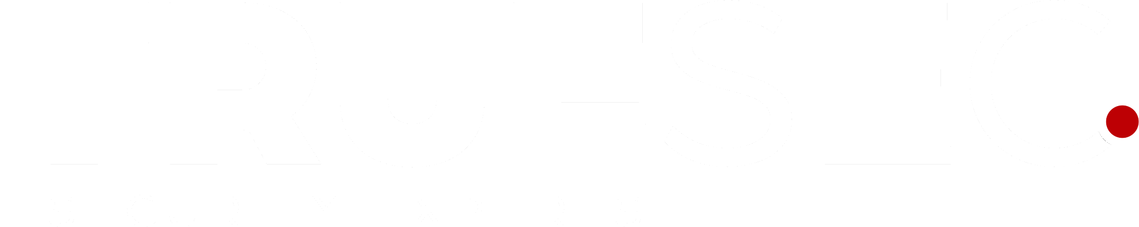 TrueSec Security Experts