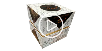 Dragon Fireworks 2080 Batteri