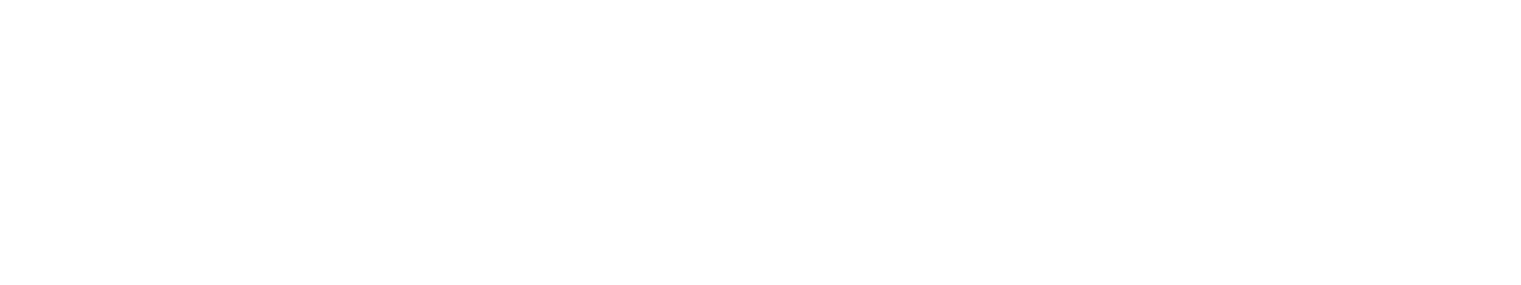 Wizjoner
