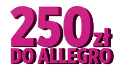 grafika250 zł do Allegro