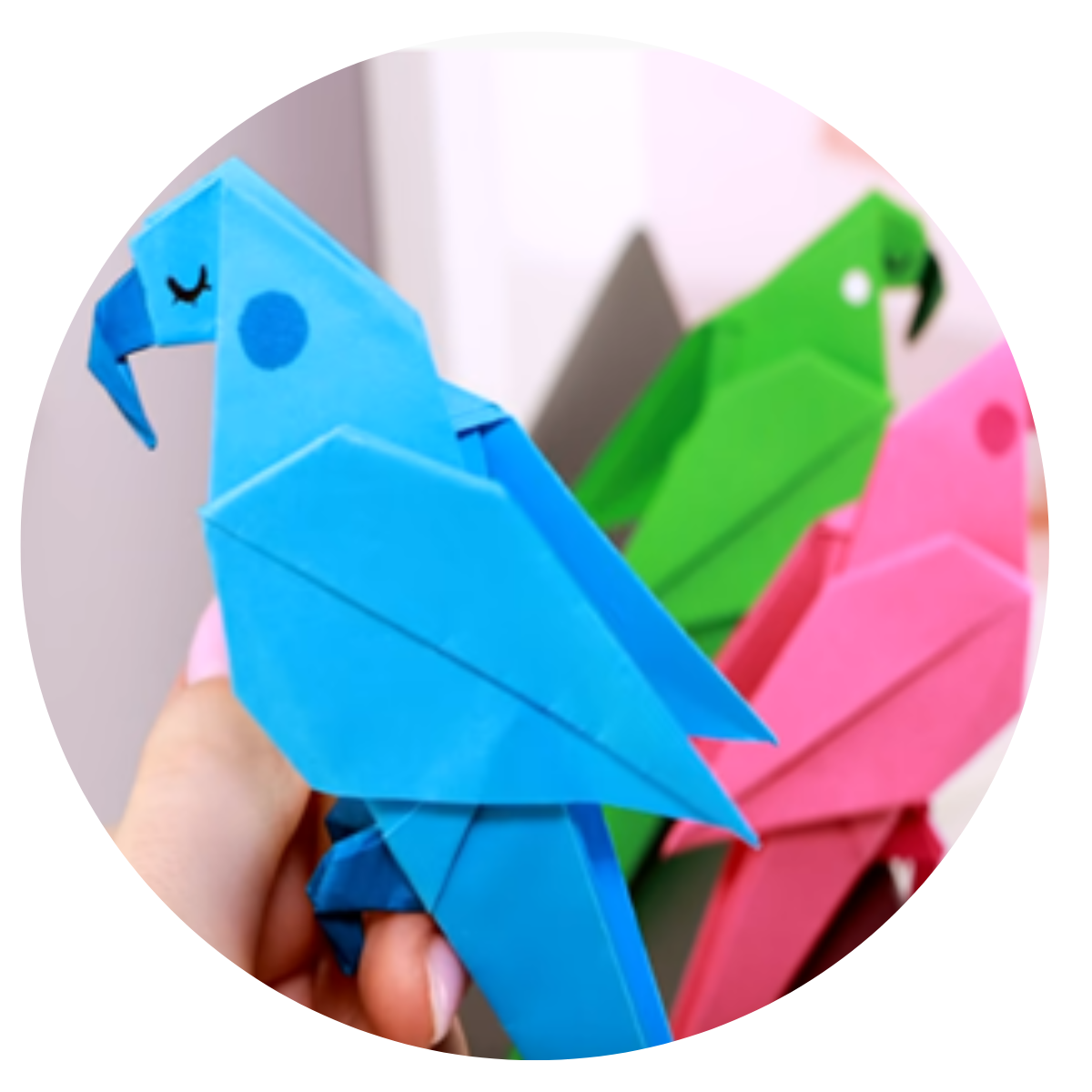 Podziemna trasa turystyczna w Zamościu.