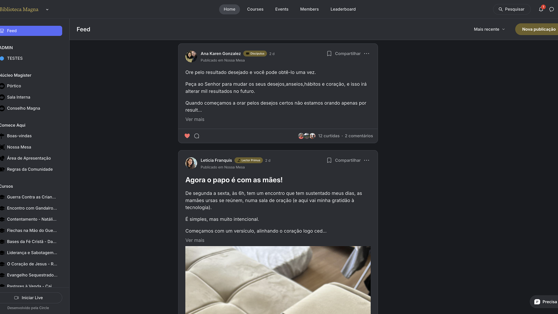 Feed