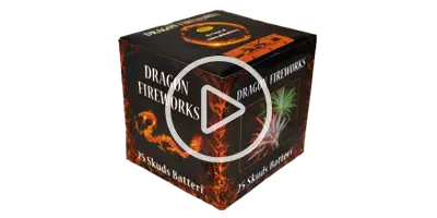 Dragon Fireworks 2002 Batteri