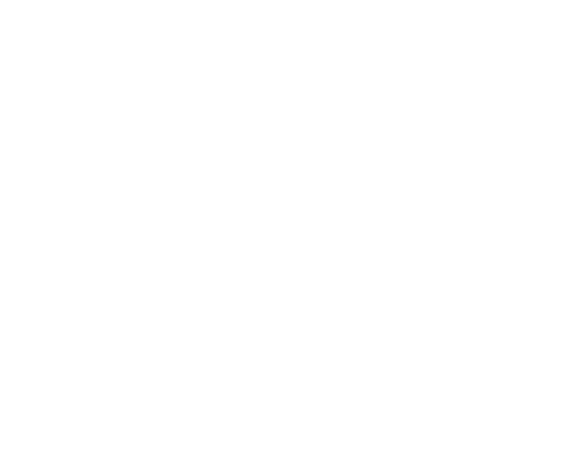 Low Price