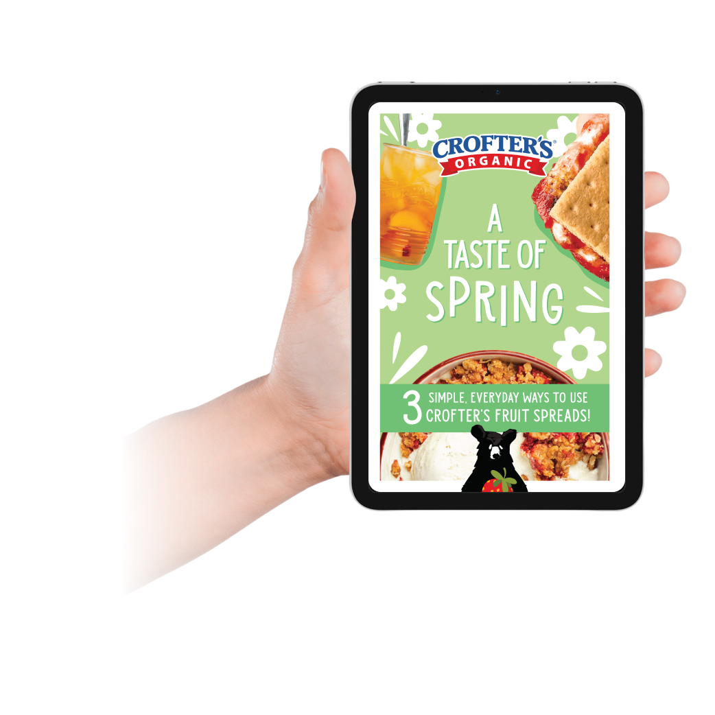 An image of a hand holding a mockup of the recipe book