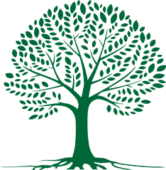 Greco Law Estate Planning