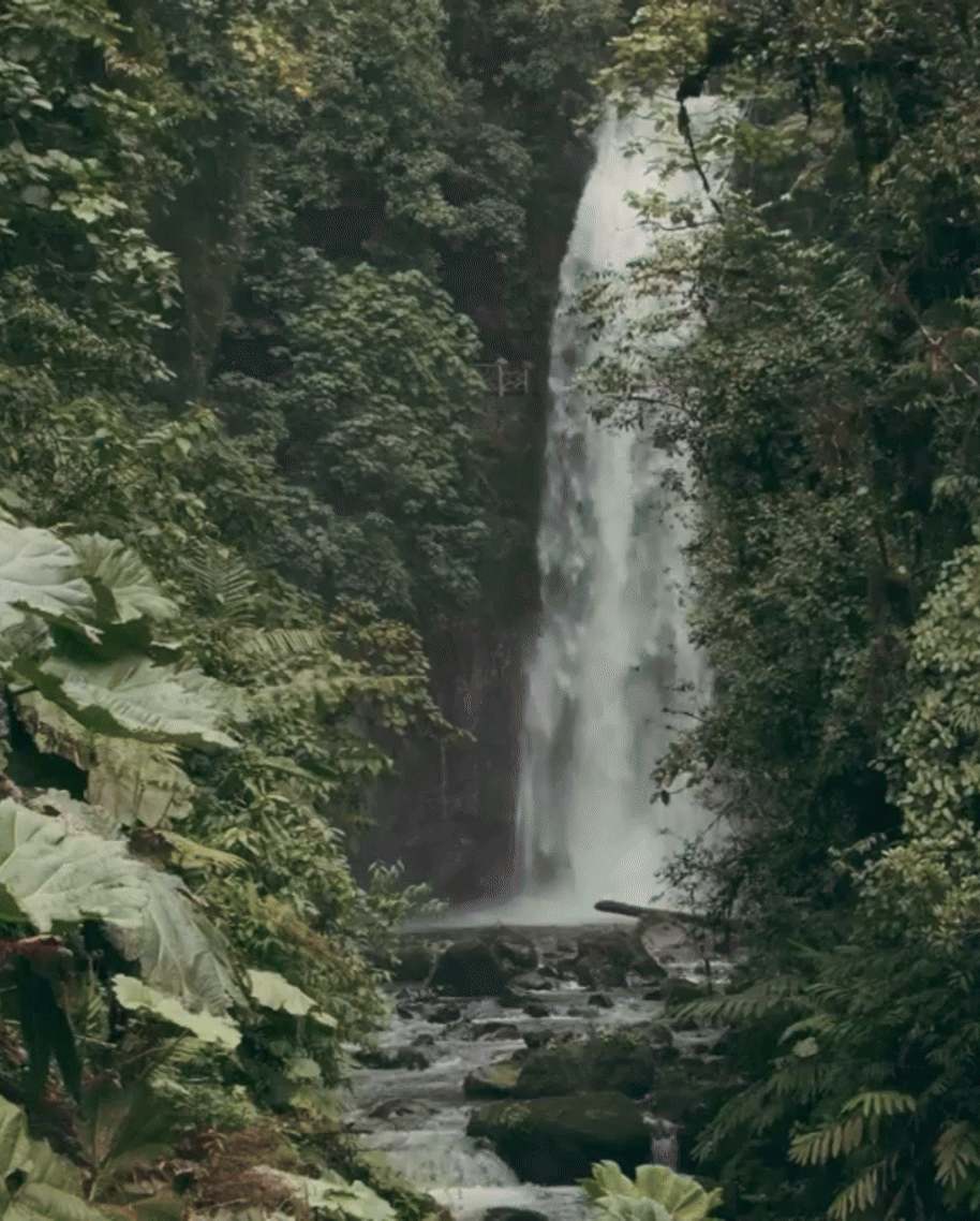 3 slide gif video highlighting Costa Rica, including a gibbon, people playing soccer, and a waterfall in a jungle.