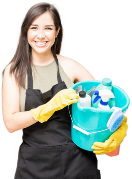 cleaning insurance client cleaning insurance client